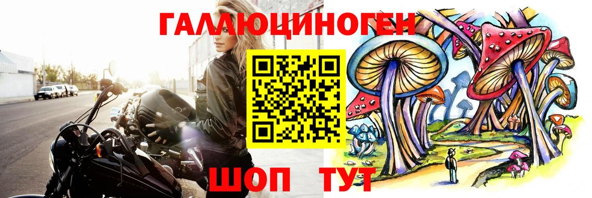 Псилоцибиновые грибы MAGIC MUSHROOMS Советская Гавань